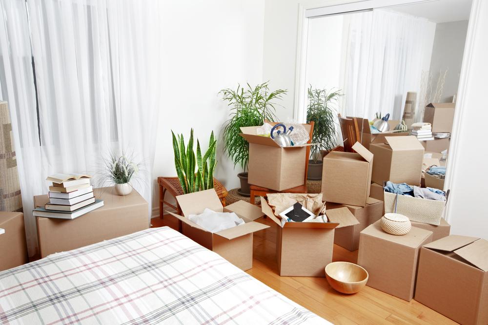 House Mover Services