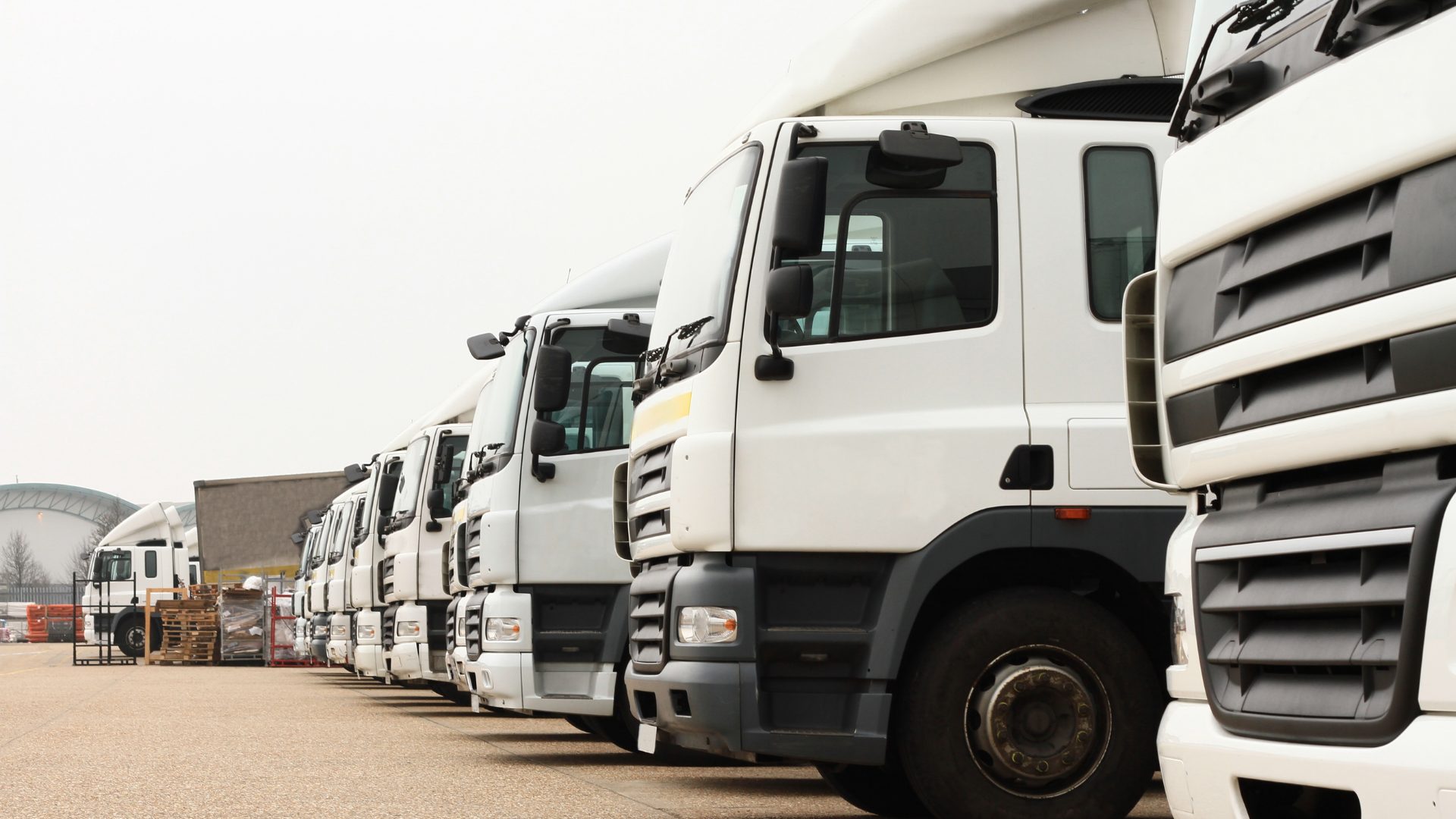 Professional Movers Professional Movers